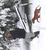 3rd-feb-chasing-adam Chasing Adam.