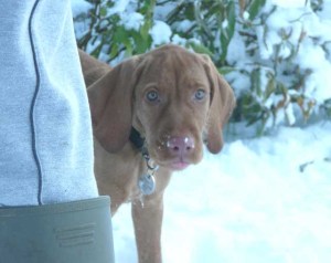 Sticking her tongue out at The Man.