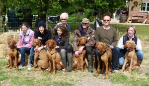 9th May - Litter Reunion Tarndair group shot 6/8th of the Tarndair litter: Maize, Pogo, Noah, Sparky, Phoenix, Dolly.