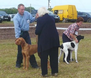 Being Awarded 1st in Junior Class at North Devon Show - 5th Aug Being Awarded 1st in Junior Class at North Devon Show.