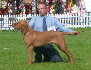 Bournemouth - first stack Bournemouth - first stack.
