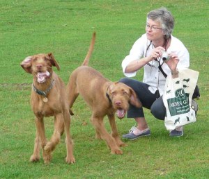 Bournemouth - Phoenix & Thirza 3