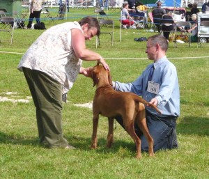 Bournemouth - the examination Bournemouth - the examination.
