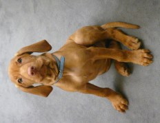 Day 8 - awaiting instructions