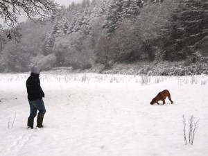 8th Jan - Snow shot 4