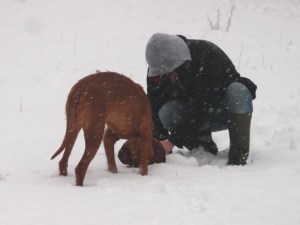 8th Jan - Snow shot 5