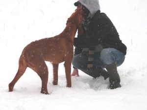 8th Jan - Snow shot 6