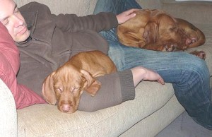 Day 1 - 3-way-sofa-snooze