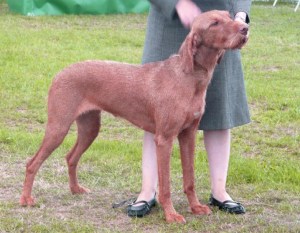 WKC - Anora - REDUCED