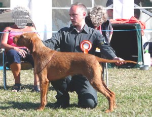 28th July - Minehead & District Show