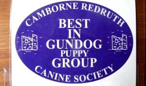 19th Sept - Camborne win 2