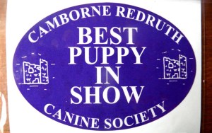 19th Sept - Camborne win 3