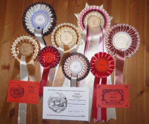 27th Sept - Mingus rosettes part 2
