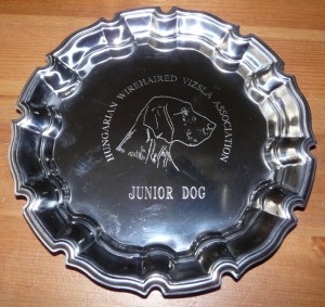 Mingus HWVA awards 3