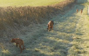 Otis out with his family