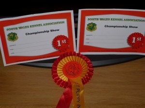 LUU L100, M100 / Samsung L100, M100