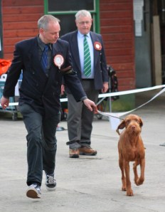 Django moving at Okehampton & District 2012