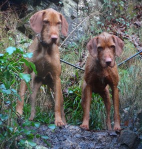 Birthday Trip 2012 Milo & Mingus