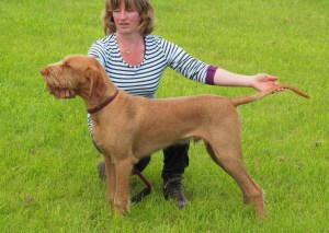 Charlie & Jenny in action.