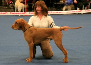 Charlie in the ring at Boston Championship.