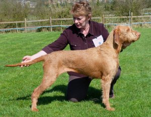 Belatarr Mahalia Jackson