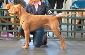 Belatarr Charlie Parker in the ring.