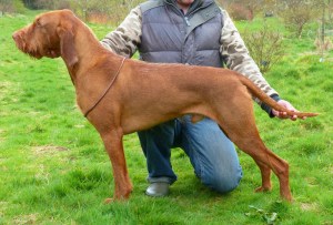 Django stacked at 18 months