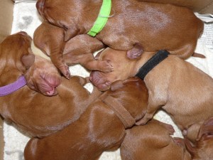 Whilst team 2 wait to be called into action.