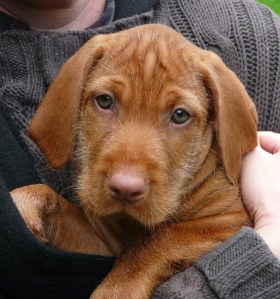 Looking eager, as usual.