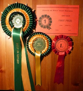 Django's Plymouth awards.