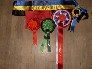 Gryphon's Bridegwater wins.