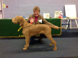 Gryphon stacked at Minehaed