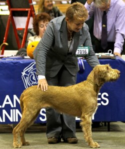 Billie at Midland Counties.