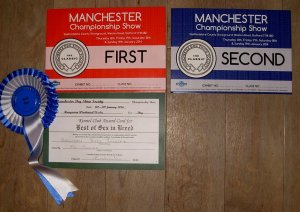 Manchester 2014 wins