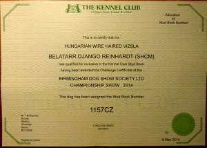 Django's Kennel Club CC and Stud Book number.