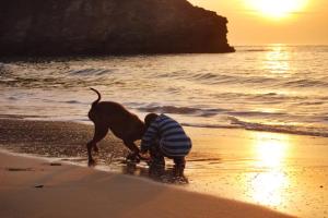 Gertie and Jack Summer 2014 6