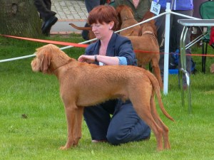 Hercules in preparation!