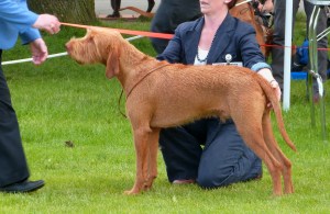 ...and saying hello to the judge.