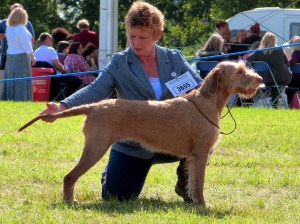 Billie in the Bitch Challenge.