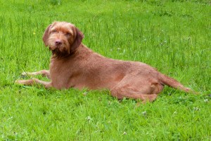 A very rare/brief/fleeting moment of calm.