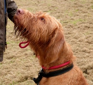 Her older sister, Belatarr Nina Simone (Ruby)