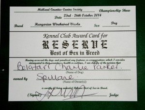 Charlie's Reserve Challenge Certificate.