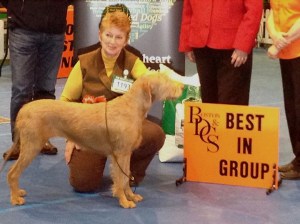 image courtesy of Chris Morgan