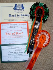 Billie Rosettes Boston 2015