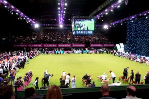 Breeders Group Main Arena 4