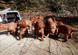 The gang get their first taste of the outdoors!