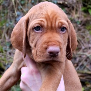 Mr Black - looking cold :(