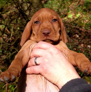 Mr Black - not his most dignified pose.