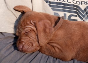 ...and has a snoozy snuggle.