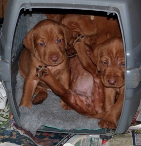 The gang pile into their micro-den.